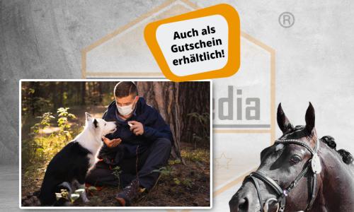 Online-Trainer zum Tierheilpraktiker (m/w/d) {{IN KÜRZE VERFÜGBAR!  }}